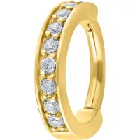 Wildcat Hinged Ring<!--641004c4d8219--> - Kultainen metalli, Valkoinen, 10,0 mm