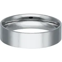 Wildcat Hopeanvärinen kaiverrettava terässormus - Hopeinen metalli, 21,0 mm