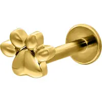 Wildcat Little Paw Push-Fit Labret - lävistyskoru - 5,0 mm, Kultainen metalli
