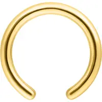 Wildcat Clip in Ring without Ball - BCR-rengas ilman palloa - 1,0 mm, 6,0 mm, Kultainen metalli