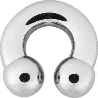 Wildcat Basic Circular Barbell - lävistyskoru - 8,0 mm, 12,0 mm, 13,0 mm, Hopeinen metalli