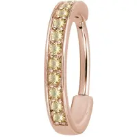 Wildcat Hinged Ring<!--641004c4d8219--> - Ruusukultainen metalli, Samppanja, 12,0 mm