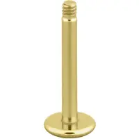 Wildcat Micro labret sans boule - 1,2 mm, 9,0 mm, Kultainen metalli