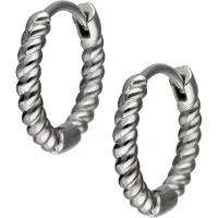 Wildcat Twisted Little Hoops -korvarenkaat - Hopeinen metalli