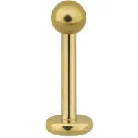Wildcat Micro Labret - lävistyskoru - 8,0 mm, Kultainen metalli, 1,2 mm, 3,0 mm
