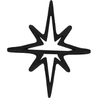 Wildcat Polar Star Ring - sormus - Musta metalli, 19,0 mm