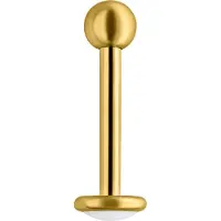 Wildcat Medilab Labret - Lävistyskoru - 1,2 mm, 7,0 mm