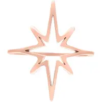 Wildcat Polar Star Ring - sormus - Ruusukultainen metalli, 18,0 mm