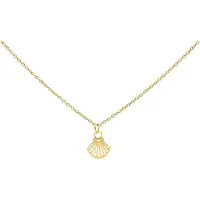 Wildcat Little Shell Necklace - kaulakoru - Kultainen metalli