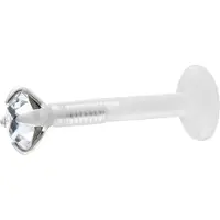 Wildcat Jewelled Micro Labret<!--64228ccf17690-->