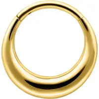 Wildcat Clicker-Lävistysrengas - Chunky Septum - Kultainen metalli, 10,0 mm