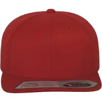 Flexfit 110 Fitted Lippis