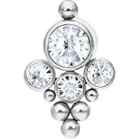 Wildcat Bindi Push-fit Labret <!--6411716f3202f-->