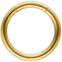 Wildcat Basic Segmentring - lävistysrengas - 2,0 mm, Kultainen metalli, 13,0 mm