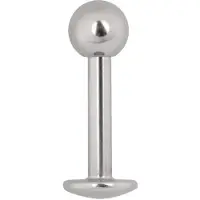 Wildcat Silver Titan Labret - 1,6 mm, 12,0 mm, 4,0 mm