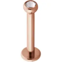 Wildcat Crystal Basic Labret - 1,2 mm, 10,0 mm, 3,0 mm