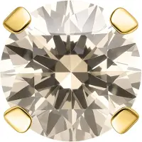 Wildcat Prong Set Attachment for Push Fit Labret - Koristeosa - Kultainen metalli, Fancy Champagne, 3,0 mm, 4er Krappe