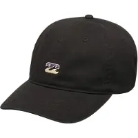 Billabong Icon Lippis
