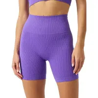 Björn Borg Studio Seamless Ribbed Shorts