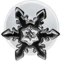 Wildcat Snowflake Push-Fit Labret<!--63f76e0c1f4e7--> - Musta metalli