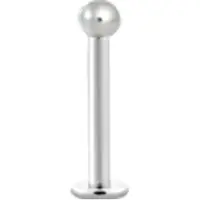 Wildcat Fine Titan Internally Labret - sisäkierteinen labret-lävistyskoru - 1,6 mm, 7,0 mm, Hopeinen metalli, 4,0 mm