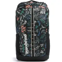 Patagonia black hole pack 25l