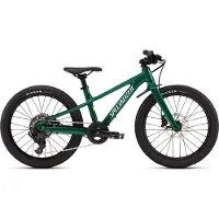 Specialized Riprock 20´´ Acolyte 2026 Mountainbike
