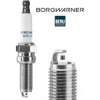 BorgWarner (BERU) Sytytystulppa BorgWarner (BERU) Z361