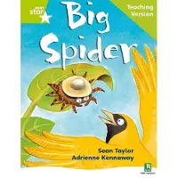 Bookoutlet Rigby Star Phonic Guided Reading Green Level: Big Spider Teaching Version