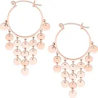 Wildcat Dangling Plate Hoops - Korvakorut - Ruusukultainen metalli