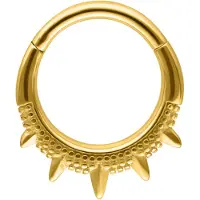 Wildcat Oriental Spiked Clicker - Lävistysrengas - Kultainen metalli