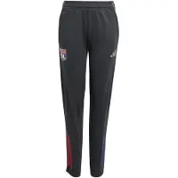 Adidas Urheiluhousut sininen / kulta / harmaa / punainen