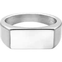 Wildcat Sealed Ring - sormus - Hopeinen metalli, 21,0 mm