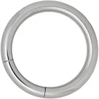 Wildcat Basic Segment Ring - lävistysrengas - 3,2 mm, 15,0 mm