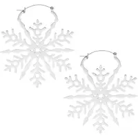 Wildcat Snowflake Hoops - korvakorut - Hopeinen metalli