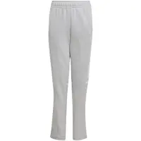 Adidas Urheiluhousut 'Squadra 25' vaaleanharmaa / valkoinen