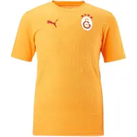 Puma Trikoo 'Galatasaray Istanbul' sahrami / punainen / valkoinen