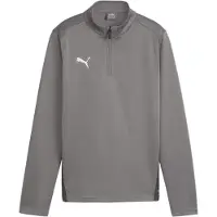 Puma Toiminnallinen paita 'Team Goal' harmaa