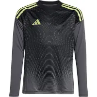 Adidas Tiro 25 Competition Pitkähihainen T-paita