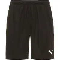 Puma Teamrise Training Shortsit