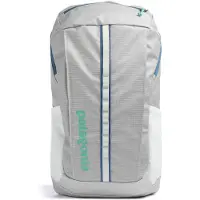 Patagonia black hole pack 25l