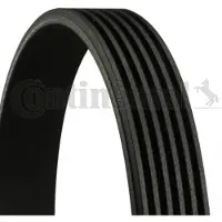 CONTITECH Moniurahihna 6PK1795