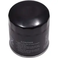 Blue Print Polttoainesuodatin BLUE PRINT ADZ92311