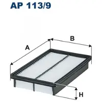 FILTRON Ilmansuodatin AP 113/9