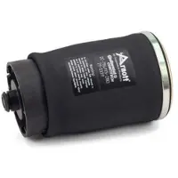 Arnott Ilmajousi, jousitus A-2502