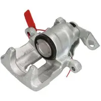 LAUBER Jarrusatula 77.2285