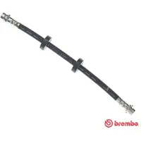 Brembo Jarruletku T 24 020