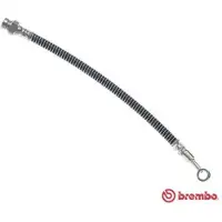 Brembo Jarruletku T 30 106
