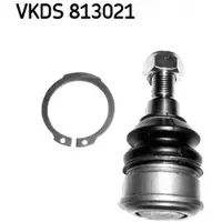 Skf Pallonivel VKDS 813021