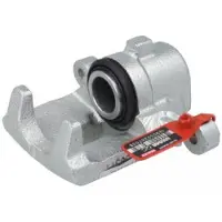 LAUBER Jarrusatula 77.3239